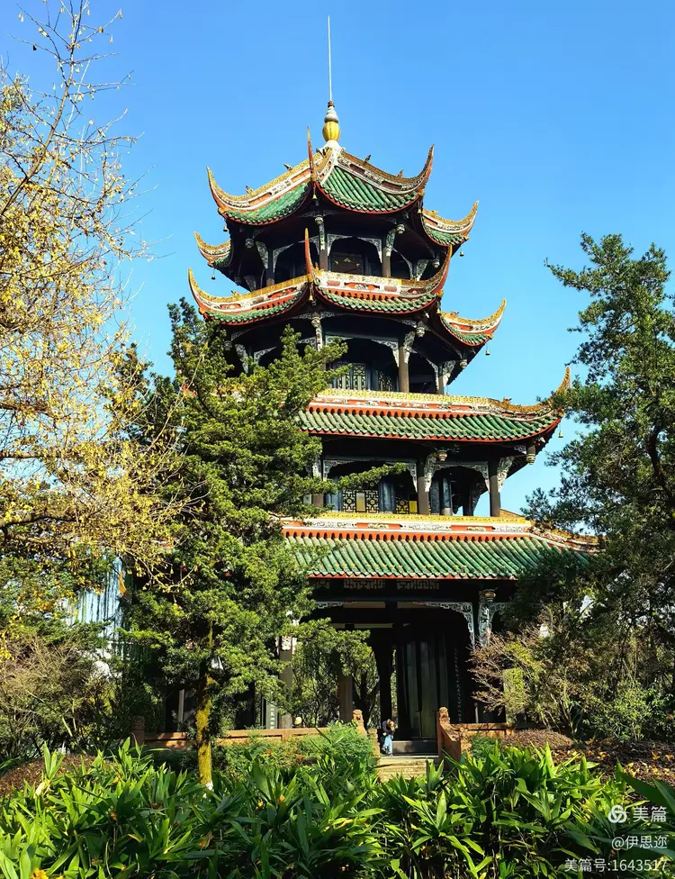 成都望江楼公园冬天的景色